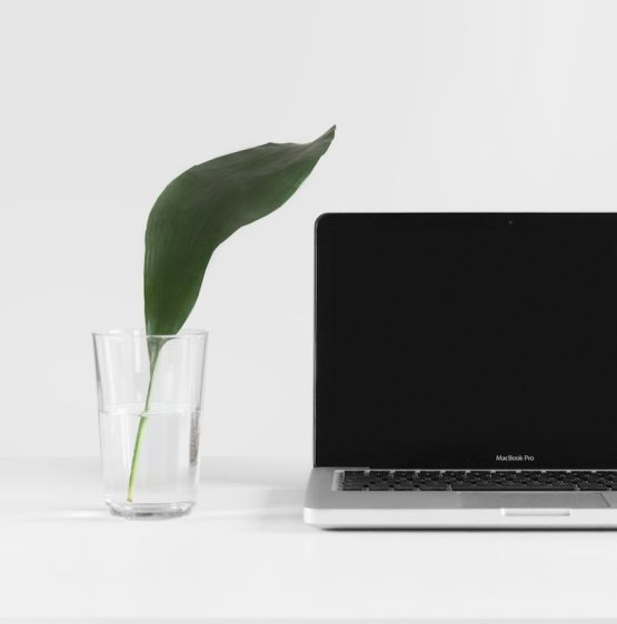 MacBook Pro beside plant in vase